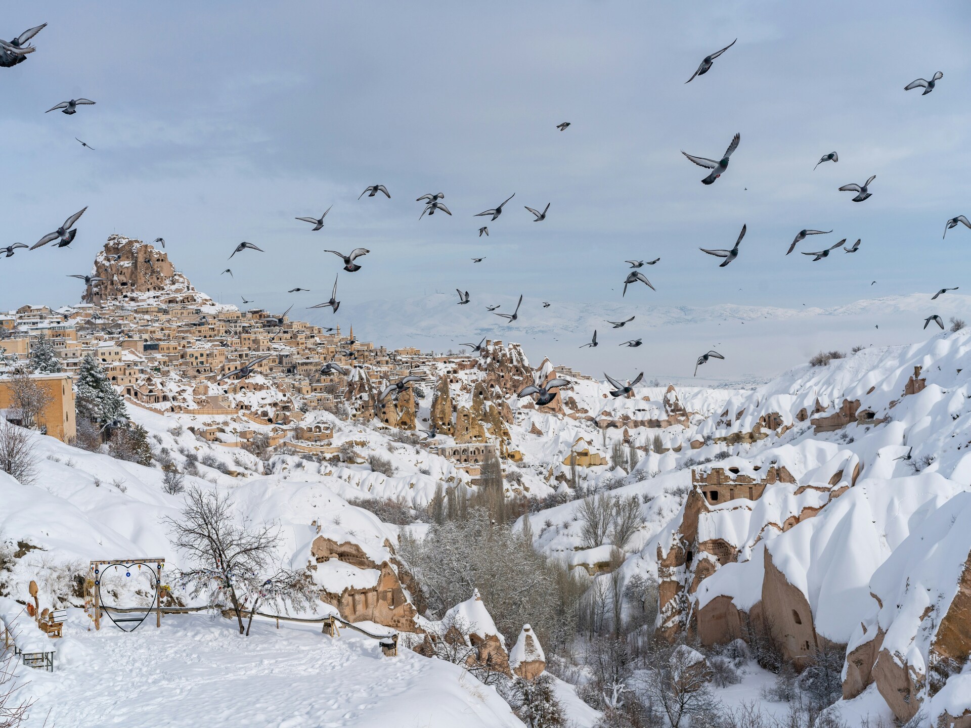 luis-barreto-d-sfEBCkBBuG4-unspl