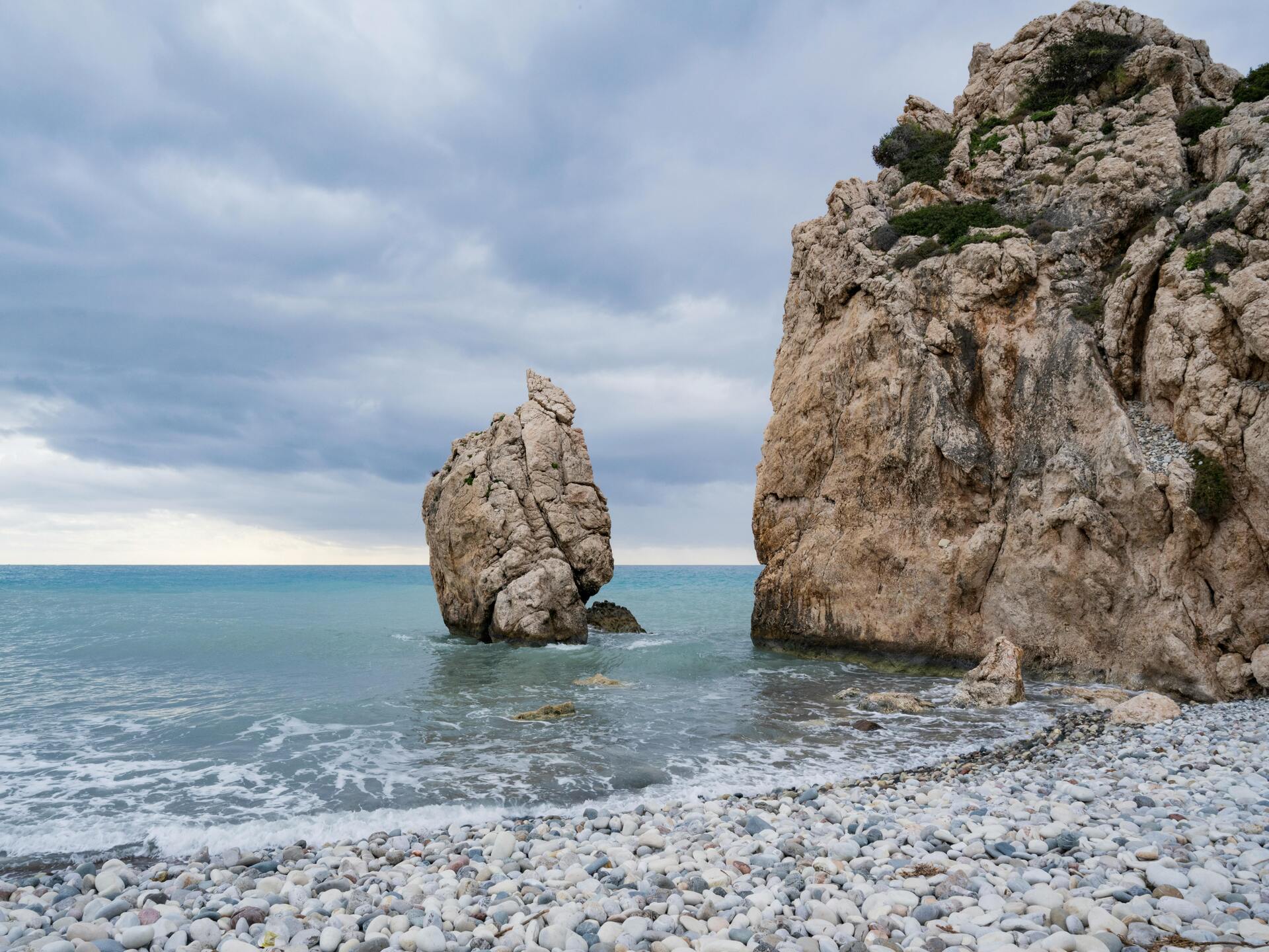 pexels-evelin-36561771