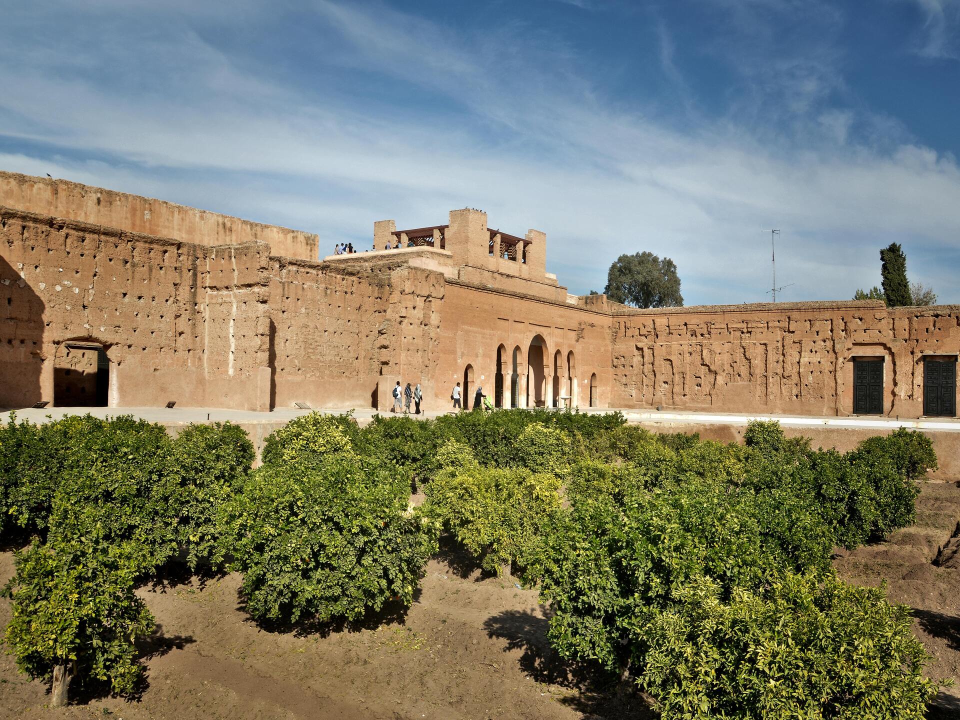 pexels-mographe-15360686