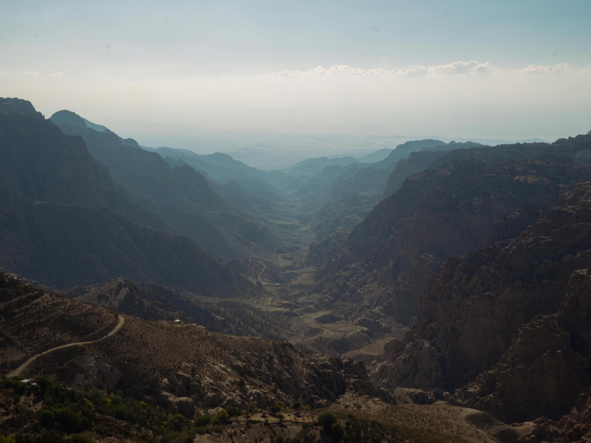 pexels-plasticlines-29329317