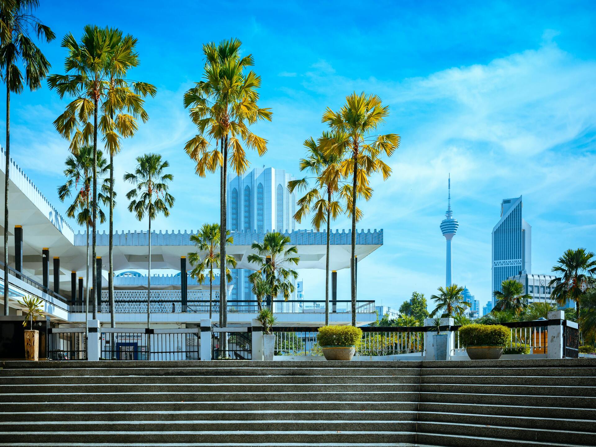 pexels-yi-ruan-1541291218-35749879