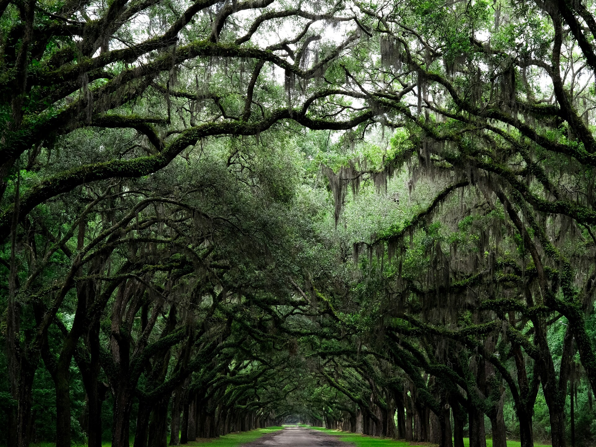 ryan-arnst - _ciMTKzBus-unsplash