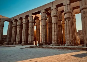 ahmed-elnokrashy-tH4nS6r0C_Y-unsplash