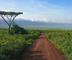 ben-preater-uCtcE2T3jpQ-unsplash