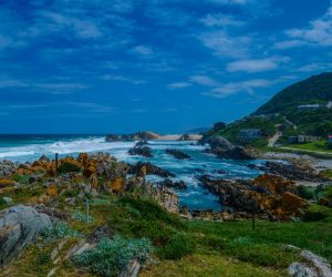 calvin-van-wyk-m2EZEmtLsYs-unsplash