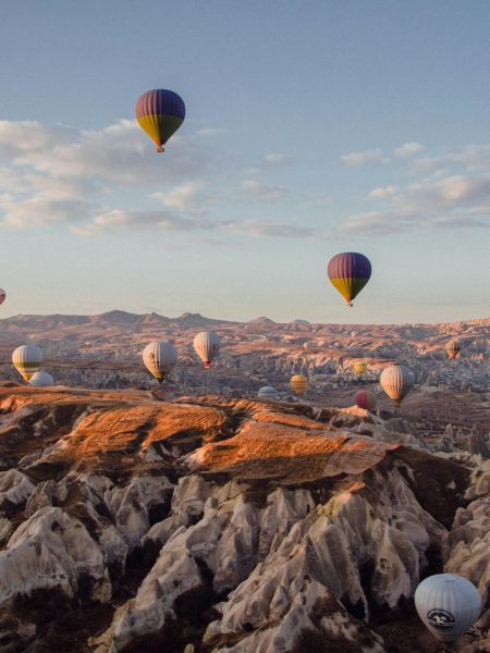 niketh-vellanki-7FyzRTZYufY-unsplash