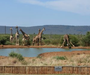 patrick-fish-iArg2PnG1sQ-unsplash