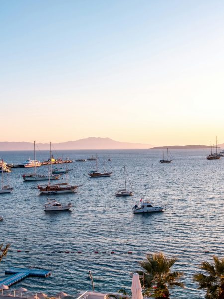 pexels-ahmetcigsar-18961662