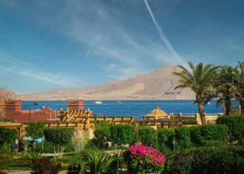 pexels-ivars-33754289