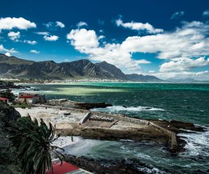 pexels-niklas-eichler-2137446-3770290