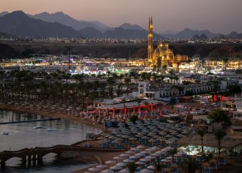 pexels-vika-glitter-392079-18886767