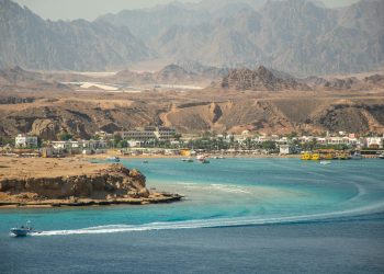 pexels-vika-glitter-392079-18894989