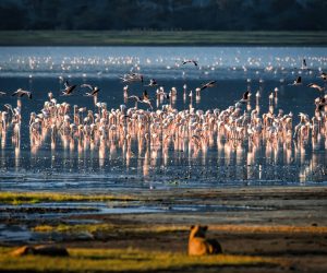 sammy-wong-voNVcXgTnPI-unsplash