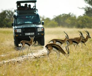 sneha-cecil-DEBrMzu-D8I-unsplash