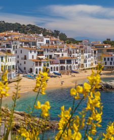 susan-flynn-cHOkA_U_CPM-unsplash