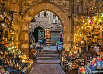 thales-botelho-de-sousa-MB2eoqiNKiw-unsplash (1)